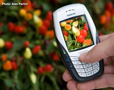 Fruiting Data as Indicator of Climate Change